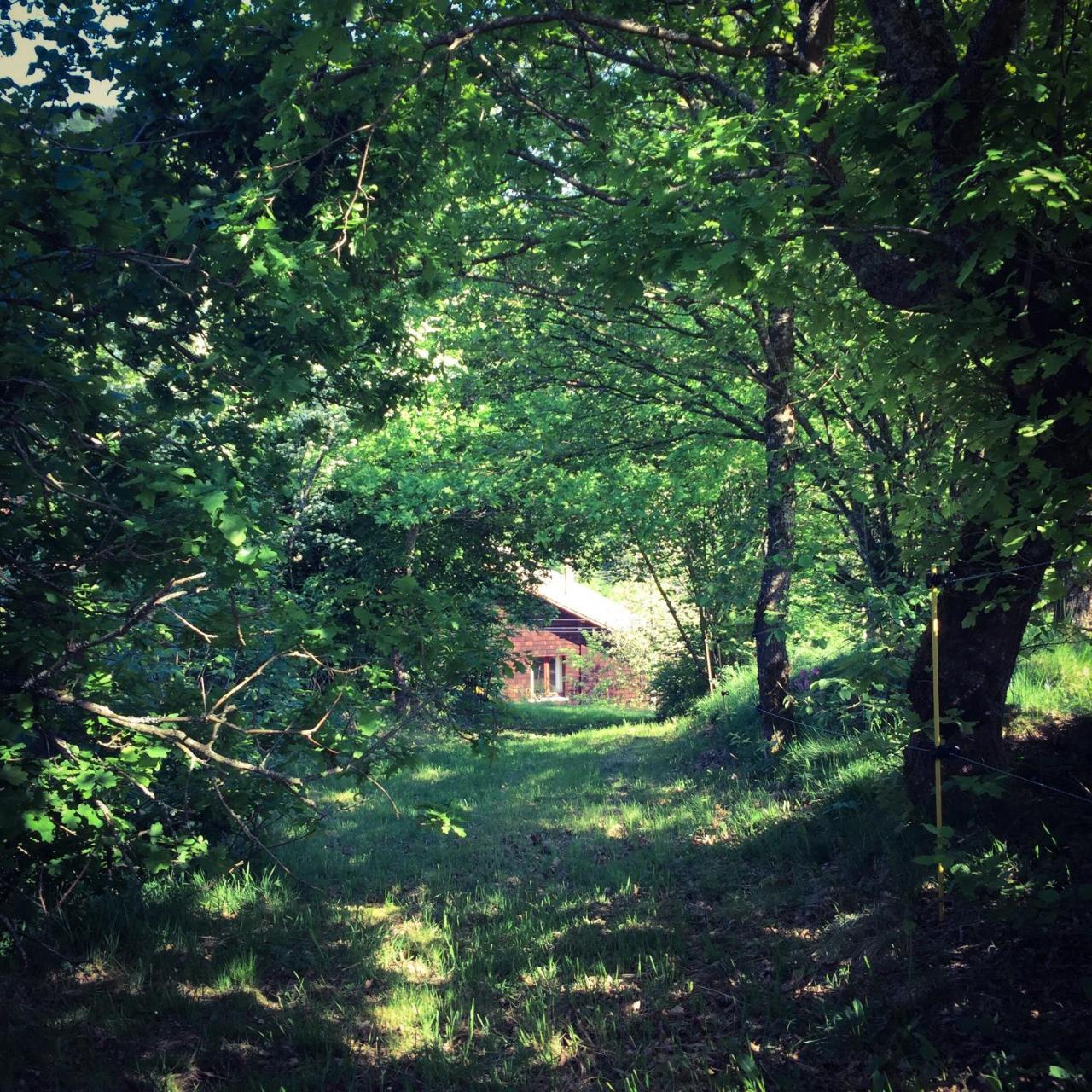 Silver Trees - Glamping Fresse-sur-Moselle Exteriör bild
