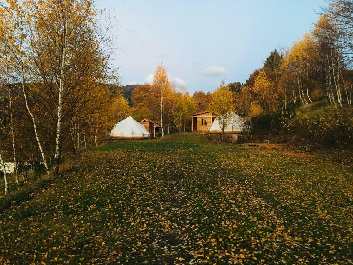 Silver Trees - Glamping Fresse-sur-Moselle Exteriör bild